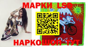 кокс Гатчина