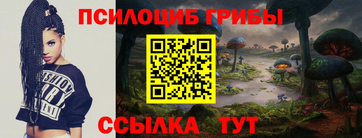 Буйнакск  Псилоцибиновые грибы Psilocybe  Вход с VPN 
