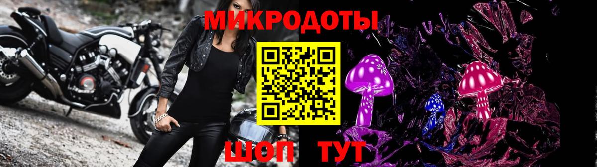 Псилоцибиновые грибы мицелий Буйнакск